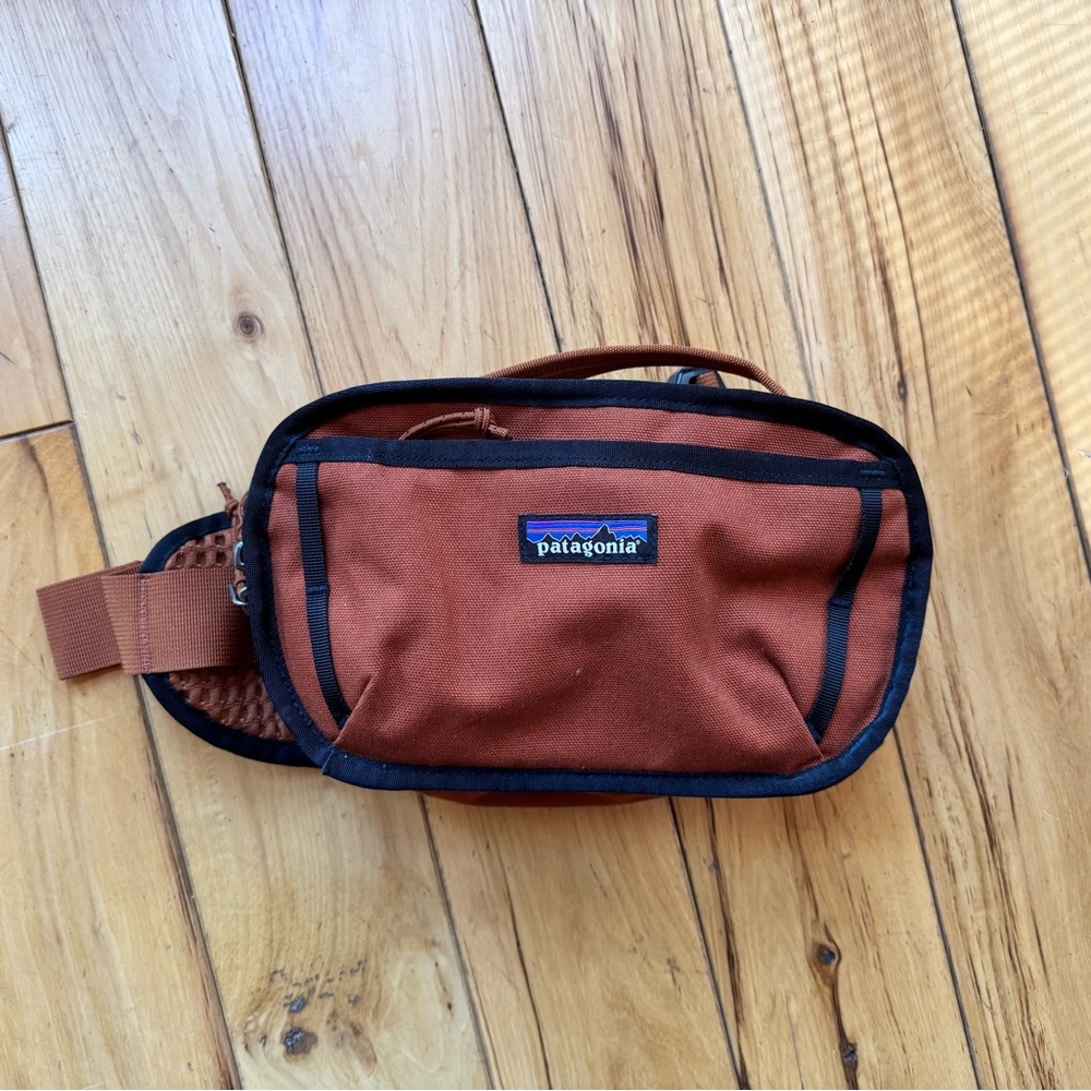 Patagonia Hip Pack